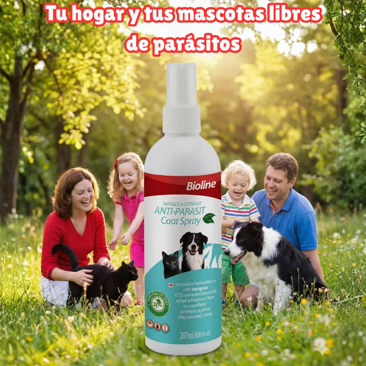 Detén a las Garrapatas antes de que Enfermen a tu Mejor Amigo